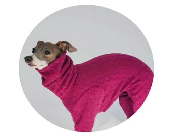 Custom Italian Greyhound Designer Cable Knit PJS