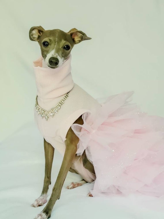 greyhound fancy dress outfits