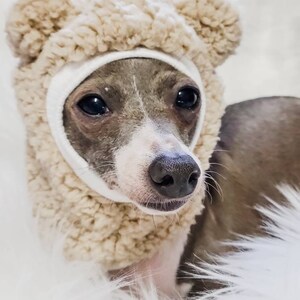 May include: A small, light brown dog wearing a beige fuzzy hat with bear ears. The dog is looking at the camera with a serious expression.