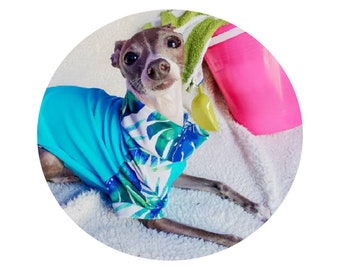 Trajes de baño UV (FPS 50+)