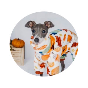 Luxe Plush Italian Greyhound PJS