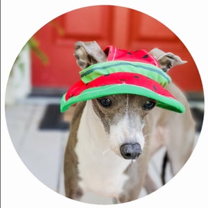 Italian Greyhound UV Swim Sun Hats