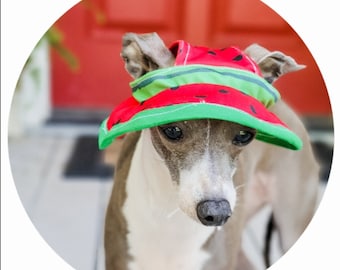 Italian Greyhound UV Swim Sun Hats