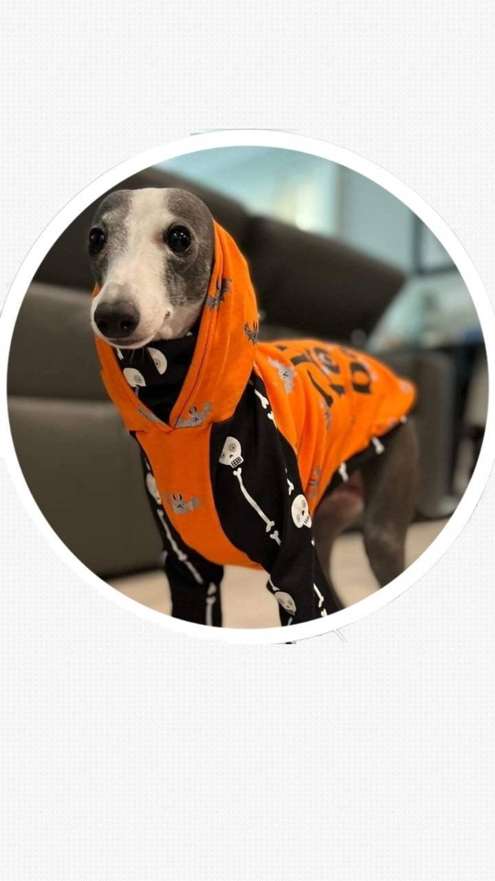 Custom Italian greyhound Halloween Snoodies