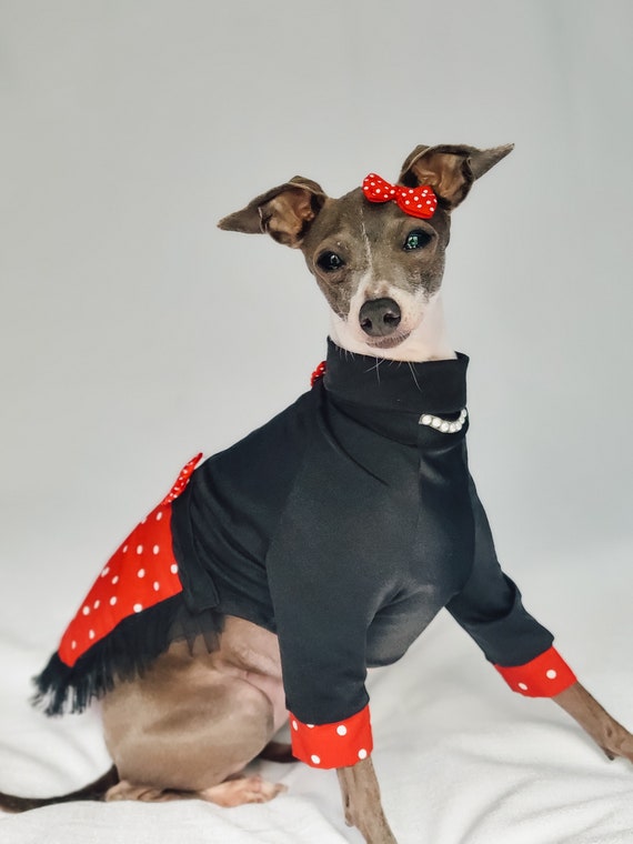 Custom Special Occasion Italian Greyhound Dresses Etsy