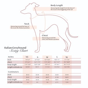 Op de afbeelding: Een maattabel voor Italiaanse windhonden, met metingen in inches en centimeters voor nek, borst, lichaamslengte en geschat gewicht. De tabel bevat de maten XS, S, M, L en XL.