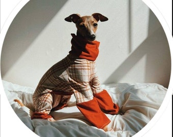 Canine Couture Bell Bottoms & More custom Italian Greyhound outfits