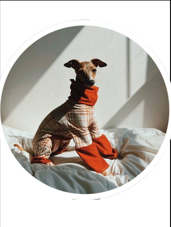 Moule pattes de chien pour glaces – A Pet Store