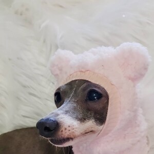 May include: A small, grey and white Italian Greyhound dog wearing a pink, fluffy, bear-shaped hooded sweater.
