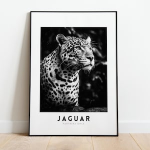 Jaguar - Stillness - Digital Artwork, Jungle Jaguar,  South American Animals,  Black and White, Ready to print, Digital download