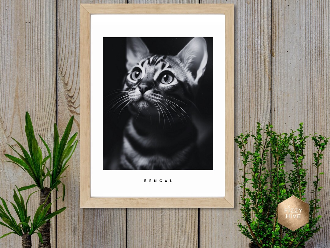 Bengal Cat Portrait: 'curious' Black & White Photo (digital Download ...