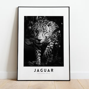 Jaguar - Pounce - Digital Artwork, Jungle Jaguar,  South American Animals,  Black and White, Ready to print, Digital download