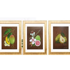 Guava, Pere, Mango Dipinto, Decorazione da Parete per Cucina, Set 3 pezzi con frutta, Regalo di inaugurazione della casa