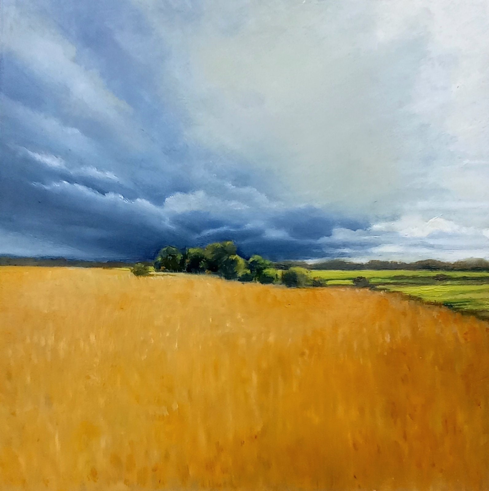 油絵 絵画 【空と雲の麦畑】 油絵 絵画 【空と雲の麦畑】