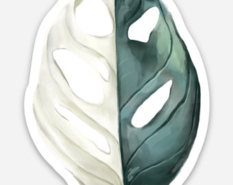 Naklejka winylowa Variegated Monstera Adansonii/ Naklejka Variegated Monstera/ Adansonii / Naklejka winylowa/ Naklejki wodoodporne/ Naklejki na laptopa