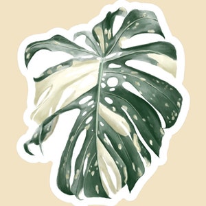 Monstera Aufkleber / bunte Monstera Aufkleber / Vinyl Aufkleber / Pflanzen Aufkleber / bunte Pflanzen Aufkleber / wasserdichte Aufkleber / Laptop Aufkleber