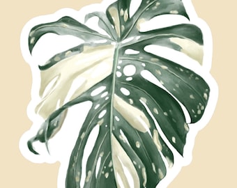 Monstera Sticker/ Variegated Monstera Sticker/ Vinyl Sticker/ Plant Sticker/ Variegated Plant Sticker/ Waterproof Stickers/ Laptop Stickers