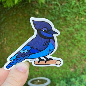 Puede incluir: Una pegatina de un arrendajo azul con un degradado azul y morado, posado en una rama marrón. La pegatina tiene un borde blanco y el texto "WCSS" es visible en la esquina inferior derecha.