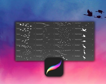 28 High-Quality Bird Brushes for Procreate