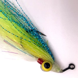 Flashtail Jig Hook (Clouser) fly