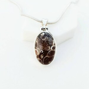 Turritella Agate / Elimia Agate Pendant, 925 Sterling Silver, lagerstätte Stone , Thanksgiving Gift, Valentine&#39;s Gift. Free Shipping.