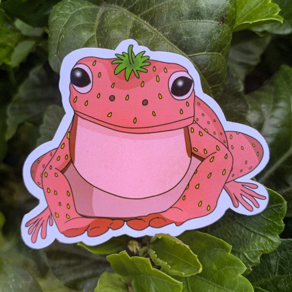 Frog sitting on a strawberry cake sticker  waterproof matte stickers  cute stickers