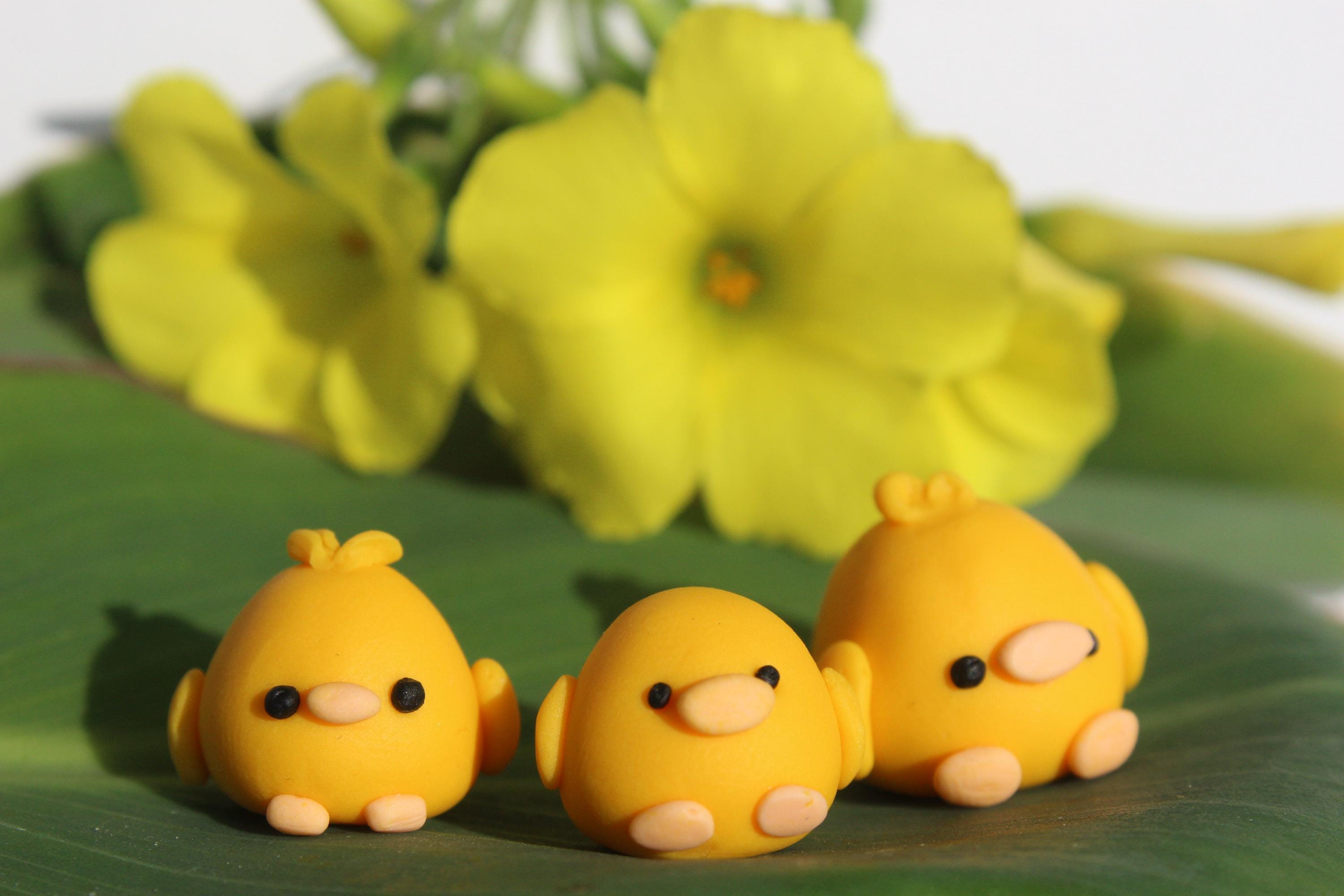 Moules En Silicone En Forme De Canard Pour Décoration De