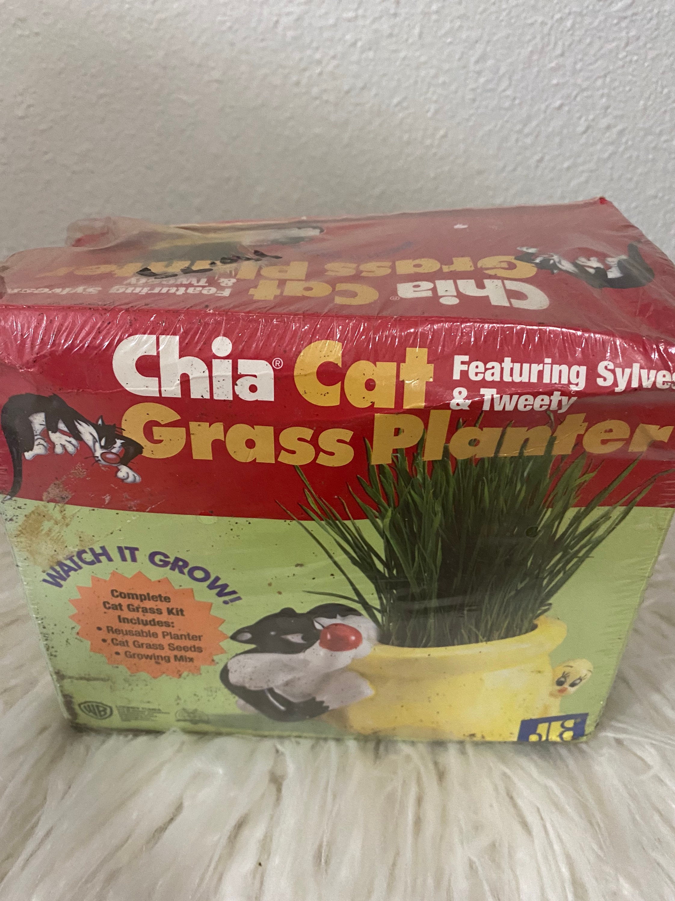 Chia Pet Planter Ceramic Indoor Plant Pots Cat Grass The Child