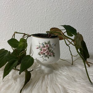 May include: A green leafy plant growing in a white ceramic planter with a floral design. The planter has a pedestal base and features pink roses and blue flowers.
