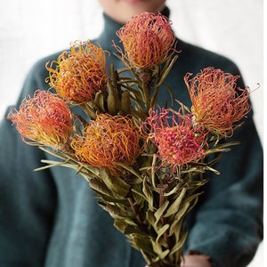 dried Leucospermum branches，natura Leucospermum bunch，red orange Leucospermum ，dried flowerarrange，home decoration，wedding flower decor