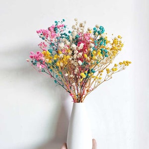 mixed color baby breath with vase，preserved baby s breath flowers bouquet，dried flowers bouquet，home decoration，wedding table flower decor