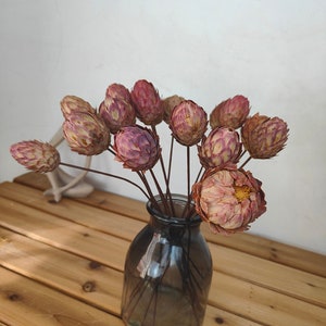 natural protea balls flower，dried protea buds，dry flower for vase，flower arrangement，boho home decor，wedding flower decor