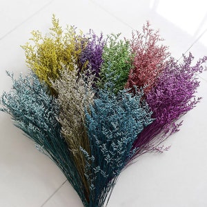 May include: A bouquet of dried flowers in various colors, including yellow, purple, green, pink, and blue. The flowers are arranged in a fan shape and have a delicate, feathery texture.