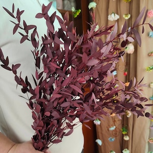 Preserved Parvifolia Eucalyptus ，Dried eucalyptus leaves bunch，flower arrangement grass，home decor，Wreath making，rustic  wedding decor