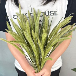 Dry green grass bundles，natural  bunny grass  bunch，flowers arrangement，dry grass for vase filling，country style decor，wedding grass decor