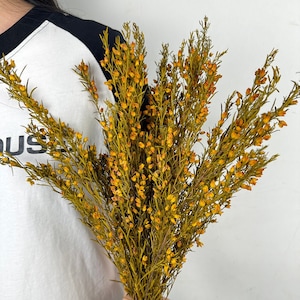 getrockneter gelber Blumenstrauß, Konservierter natürlicher Blumenstrauß, Trockenblumengesteck, Vasenfüller, Herbsthochzeitsblumendekor, Landhausstilkunst