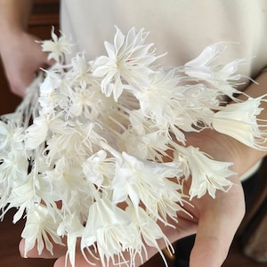 witte Nigella-ster, gedroogde bloem, natuurlijke Octagon-bloem, vaasvuller, gedroogd bloemstuk, doe-het-zelfartikelen, woondecoratie, bruiloftsdecor