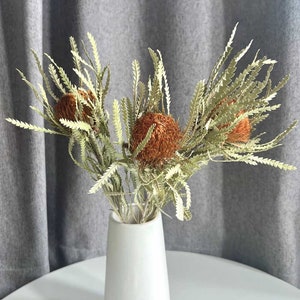 May include: A bouquet of dried brown and green flowers in a white ceramic vase. The flowers have a unique, spiky texture.
