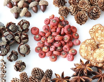 9 different types  boxed Tallow Berry bunch/Eucalyptus fruit/Acorn for Scented candle ，diy craft supply，dried flower art，dried fruits/flower