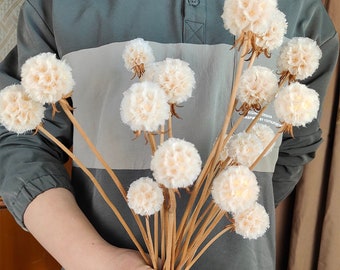 white sacbiosa pods bunch，dried white flower balls，natural flower ，dry flower for vase ，dried flower arrangement，home \ wedding flower decor