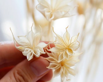 3 color Nigella Orientalis flower bunch，natural Octagon flower，dried flower arrangement，flower for vase filler，home decoration，wedding decor