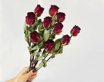 10 stems dried roses flower with stems，natural roses flowers ,flowers  arrangement ,vase filler ,home decoration ,wedding roses decor