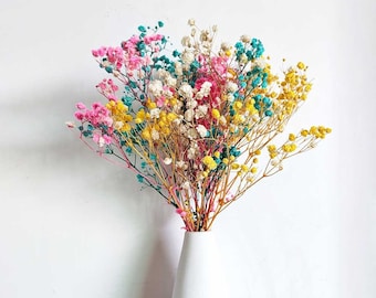 mixed color baby breath with vase，preserved baby s breath flowers bouquet，dried flowers bouquet，home decoration，wedding table flower decor
