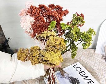 natural yarrow bunch，dyeing yarrow flower，dried flower  arrangement，DIY handcraft supply ，vase filler，home decor，wedding flower decor