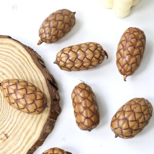 May include: Several brown pine cones with a textured, geometric pattern are displayed on a white surface. A section of a wooden slice is visible on the left. The cones, of varying sizes and shapes, highlight natural details and textures.