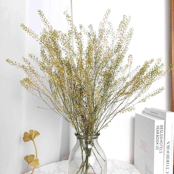 dried mini Lepidium bunch，natural Thlaspi  bouquet，dried flowers arrangement，dry grass for vase filling，home  decor，wedding flower decor