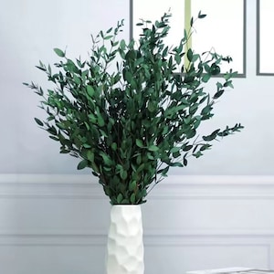 Ramo de hojas grandes de eucalipto preservado seco y ramo de flores de  lavanda, paquete azul fresco real para ducha, ramas verdes para jarrón,  floral