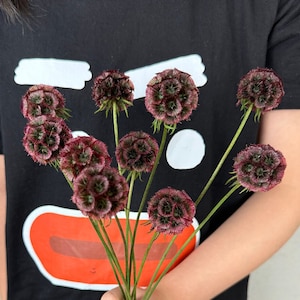 konservierte Retro lila Blumen，getrockneter Scabiosa Pods Ball，getrocknetes Blumenarrangement，getrocknete Blume zur Vasenfüllung，Mittelstück，Hochzeitsdeko