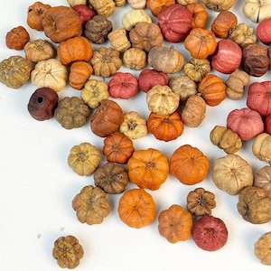 Puede incluir: Una colección de pequeñas calabazas secas en varios tonos de naranja, marrón y rojo. Las calabazas están dispuestas en un patrón aleatorio sobre una superficie blanca.