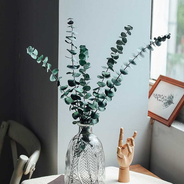 Dried Eucalyptus Etsy
